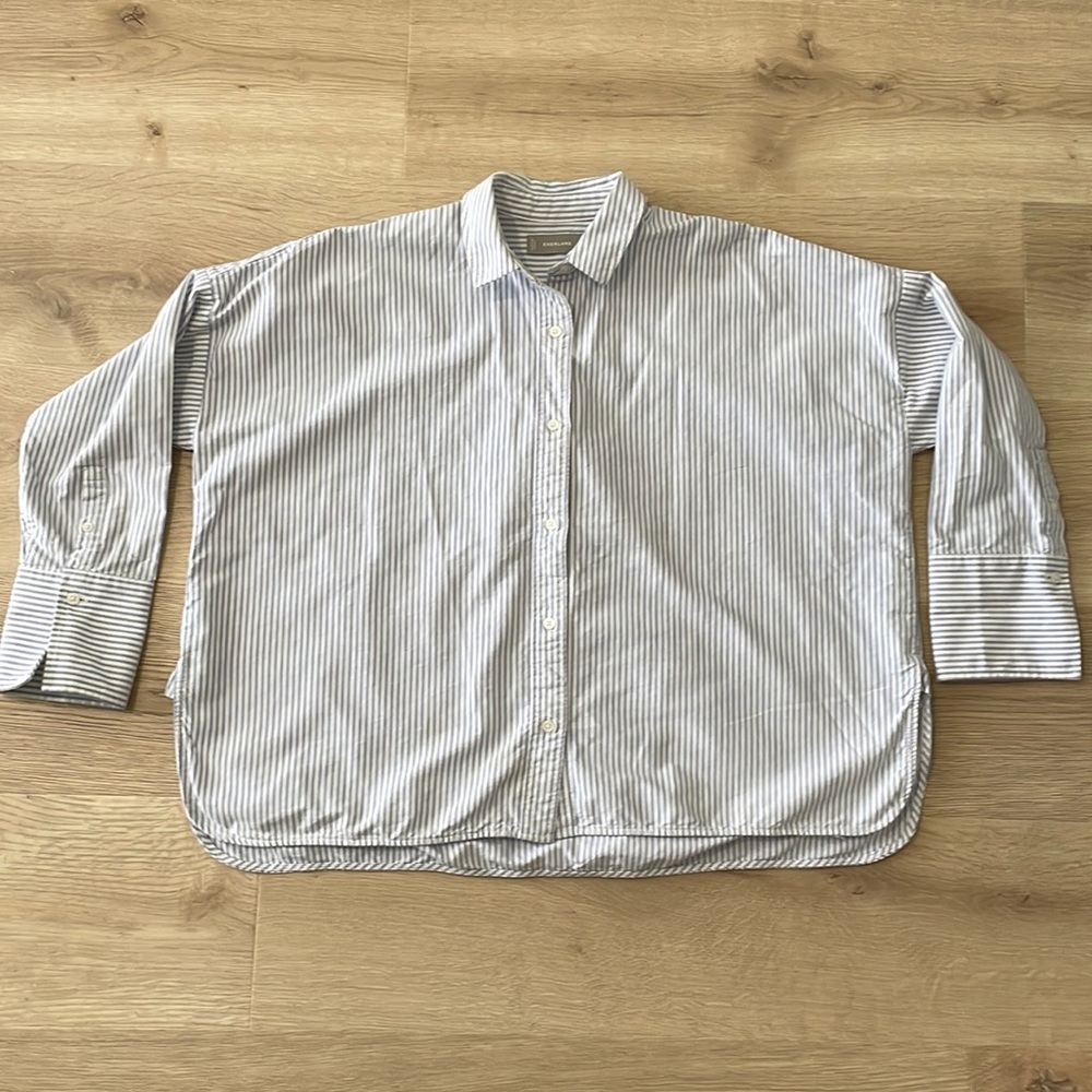 Everlane Boxy Oxford Shirt